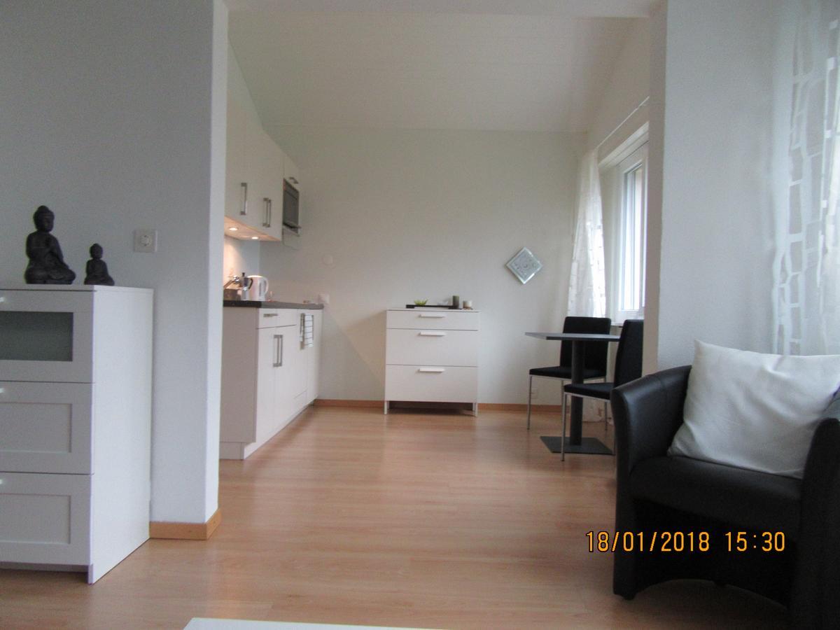 Ferienwohnung Le Debarcadere Saint-Sulpice VD Exterior foto